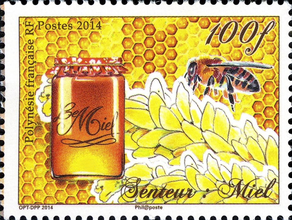Honey