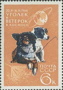 Dogs (Canis lupus familiaris) Ugolok and Weterok on Board of