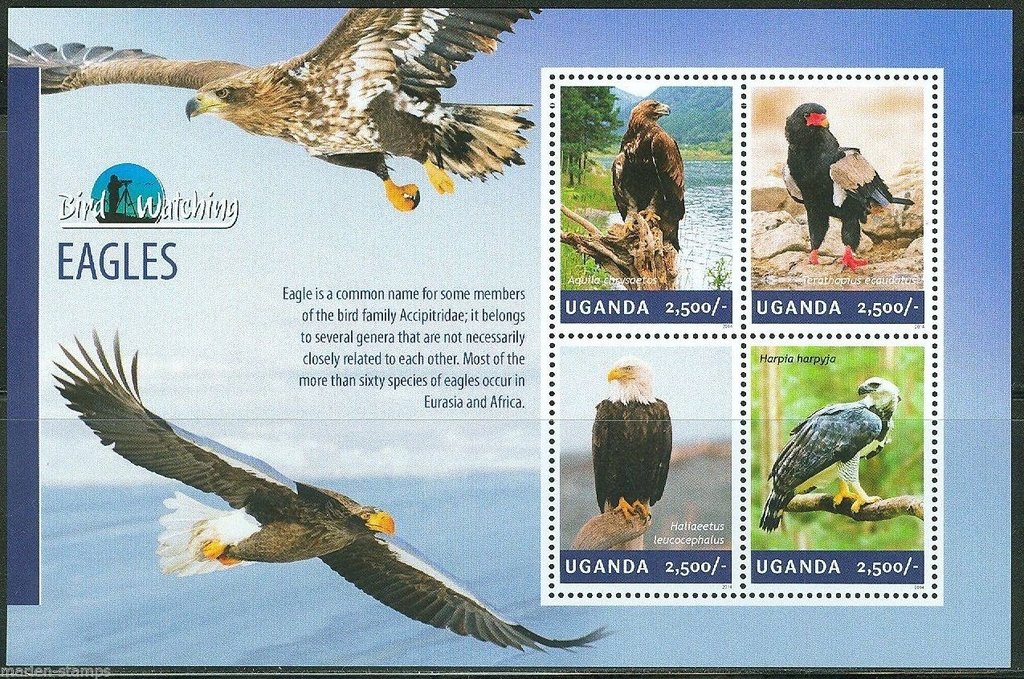 Eagles