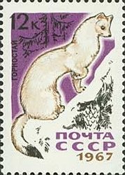 Stamp, Stoat (Mustela ermina), Soviet Union, USSR,  , Mammals, Animals (Fauna)