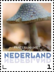 Stamp, Pantera Maniet, Netherlands,  , Mushrooms