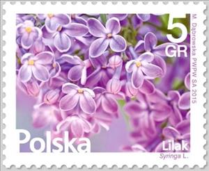 Stamp, Syringa L., Poland,  , Flowers