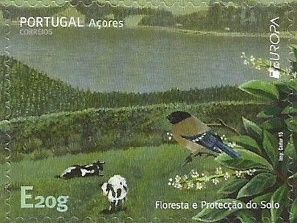 Forest and soil protection