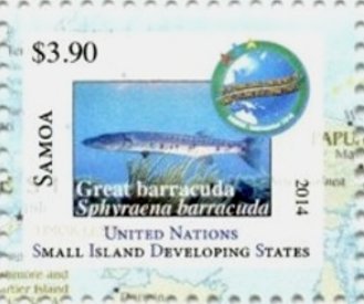 Great barracuda (Sphyraena barracuda)