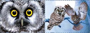 Stamp, Boreal Owl (Aegolius funereus), Poland,  , Animals (Fauna), Birds, Birds of Prey, Owls