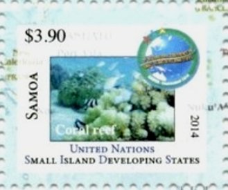 Coral reef
