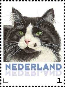 Stamp, Domestic Cat (Felis silvestris catus), Netherlands,  