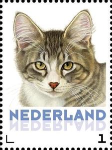 Stamp, Domestic Cat (Felis silvestris catus), Netherlands,  , Animals (Fauna), Cats