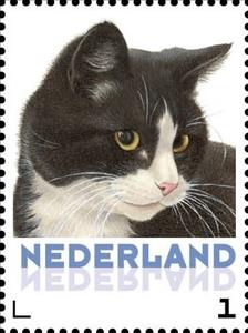 Stamp, Domestic Cat (Felis silvestris catus), Netherlands,  , Animals (Fauna), Cats
