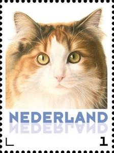 Stamp, Domestic Cat (Felis silvestris catus), Netherlands,  , Animals (Fauna), Cats