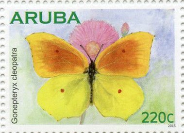 Stamp, Cleopatra Butterfly (Gonepteryx cleopatra), Aruba,  , Animals (Fauna), Butterflies, Insects