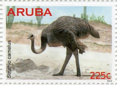 Stamp, Ostrich (Struthio camelus), Aruba,  , Animals (Fauna), Birds, Cacti, Ostriches