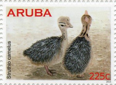 Stamp, Ostrich (Struthio camelus), Aruba,  , Animals (Fauna), Birds, Ostriches