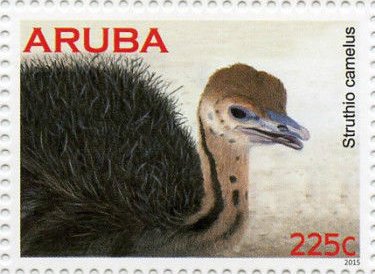 Stamp, Ostrich (Struthio camelus), Aruba,  , Animals (Fauna), Birds, Ostriches