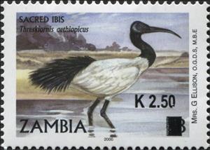Stamp, African Sacred Ibis (Threskiornis aethiopicus), Zambia,  , Animals (Fauna), Birds