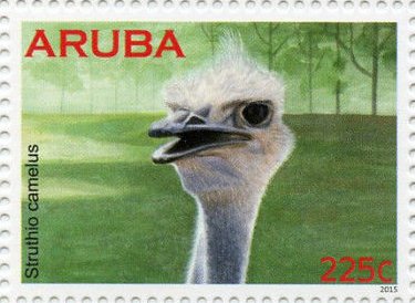Stamp, Ostrich (Struthio camelus), Aruba,  , Animals (Fauna), Birds, Ostriches
