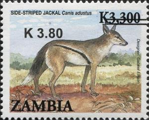 Stamp, Side-striped Jackal (Canis adustus), Zambia,  , Animals (Fauna), Mammals