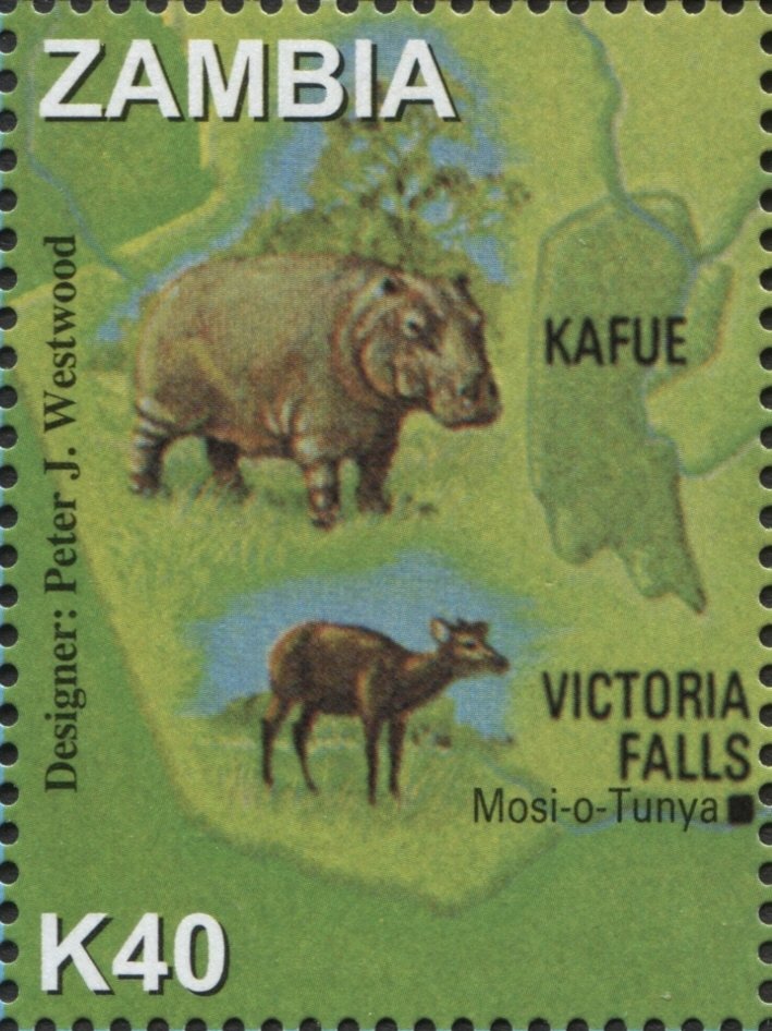 Hippopotamus (Hippopotamus amphibius), Antelope