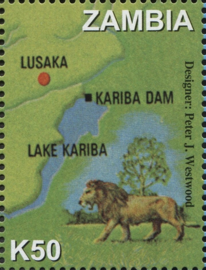 Lion (Panthera leo)