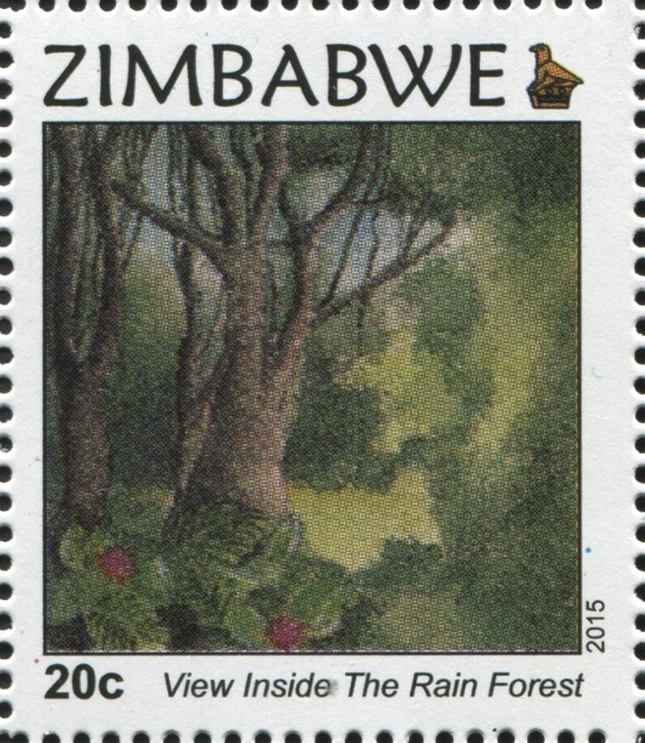 Rain Forest