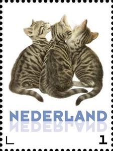 Stamp, Domestic Cat (Felis silvestris catus), Netherlands,  , Cats