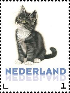 Stamp, Domestic Cat (Felis silvestris catus), Netherlands,  , Cats
