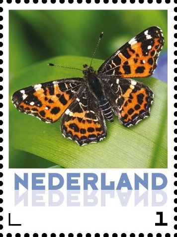 Butterflies: The Map