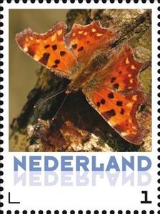 Stamp, Butterflies: The Comma, Netherlands,  , Butterflies