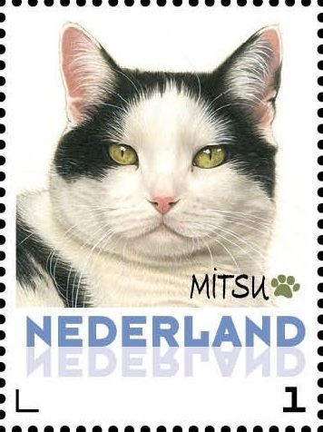 Mitsu