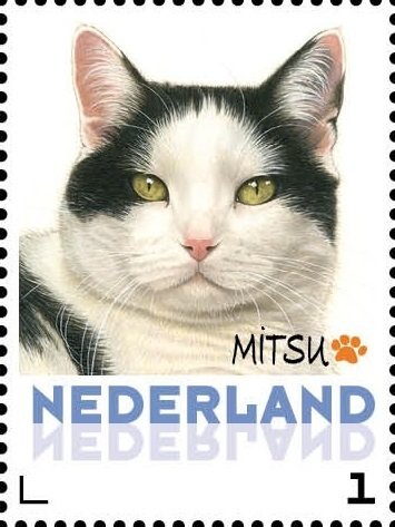 Mitsu