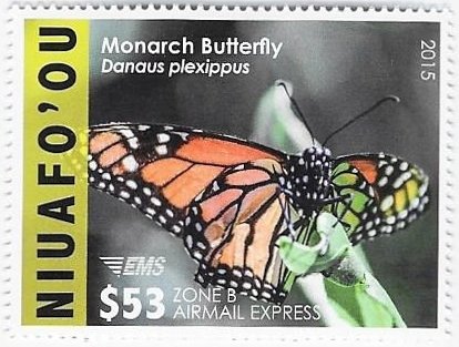 Monarch Butterfly (Danaus plexippus)