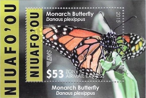 Monarch Butterfly (Danaus plexippus)