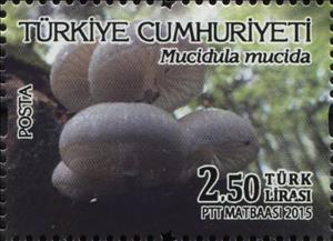 Stamp, Mushrooms - Mucidula mucida, Turkey,  , Environment Protection, Mushrooms