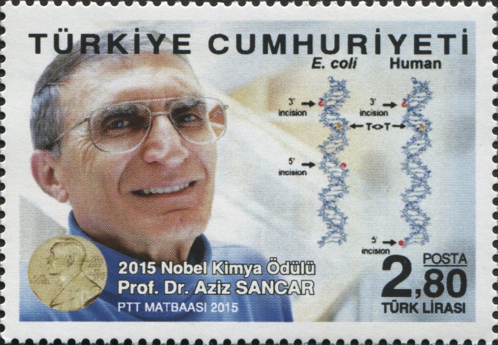 2015 Nobel Prize in Chemistry Prof. Dr. Mr. Aziz Sancar