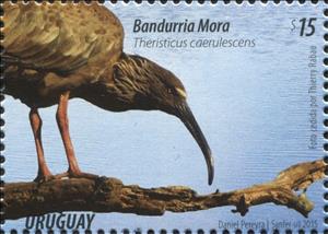 Stamp, Plumbeous Ibis (Theristicus caerulescens), Uruguay,  , Animals (Fauna), Birds