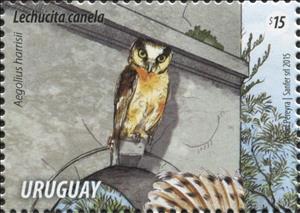 Stamp, Buff-fronted Owl (Aegolius harrisii), Uruguay,  , Animals (Fauna), Birds, Birds of Prey, Owls