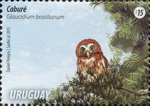 Stamp, Ferruginous Pygmy Owl (Glaucidium brasilianum), Uruguay,  , Animals (Fauna), Birds, Birds of Prey, Owls
