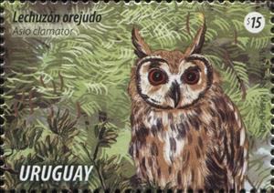 Stamp, Striped Owl (Asio clamator), Uruguay,  , Animals (Fauna), Birds, Birds of Prey, Owls
