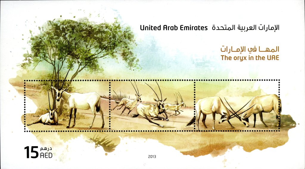 Arabian Oryx (Oryx leucoryx)