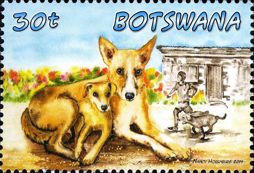 Domestic Animals of Botswana