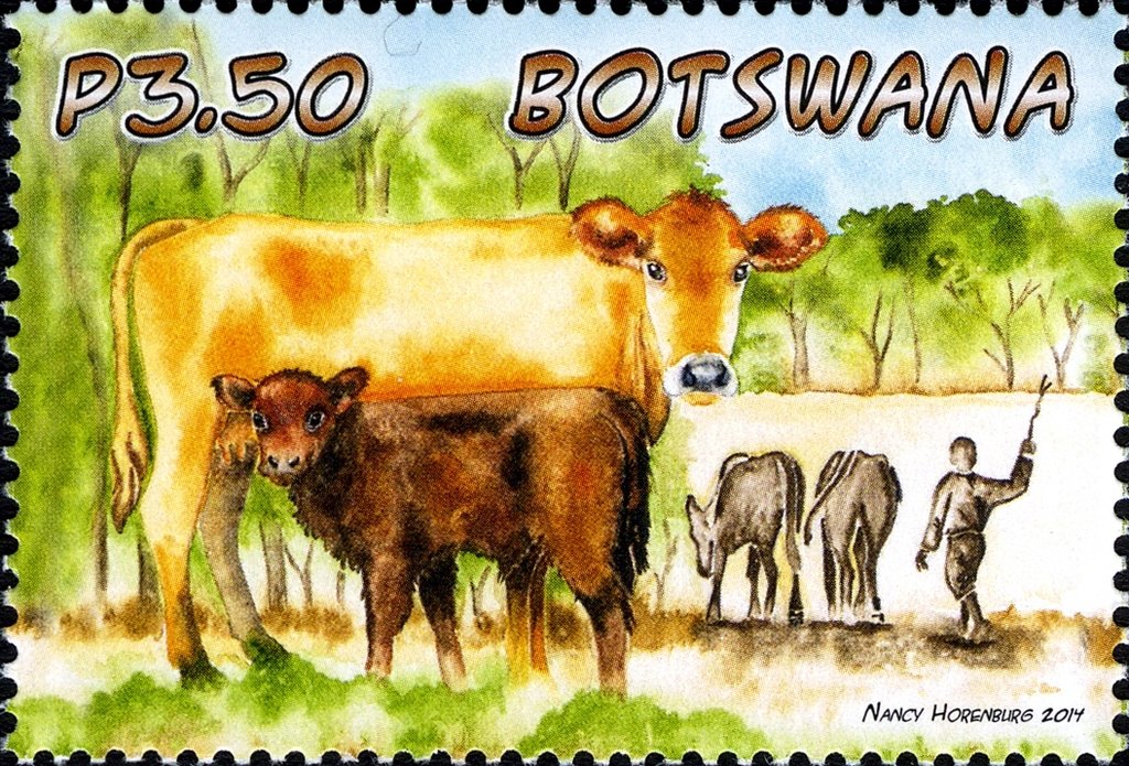 Domestic Animals of Botswana