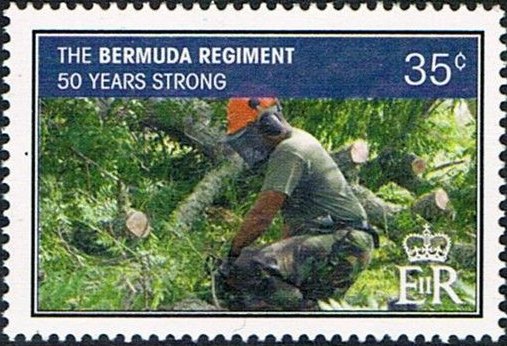 50th Anniversary of the Bermuda Regiment
