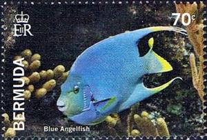 Stamp, Blue angelfish, Bermuda,  , Fishes