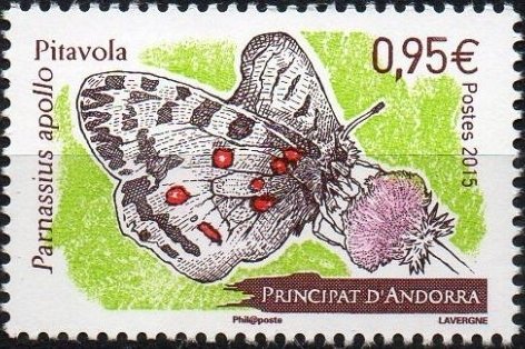 Apollo (Parnassius apollo)