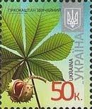 Horse Chestnut - Aesculus hippocastanum