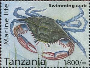 Stamp, Swimming crab, Tanzania,  , Animals (Fauna), Crabs, Crustaceans, Sea Life