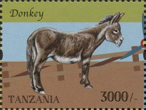 Stamp, Donkey (Equus asinus asinus), Tanzania,  , Animals (Fauna), Donkeys, Mammals