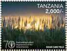 U.N. 70th anniversary food and agriculture organization