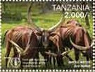 Stamp, Watussi Cattle (Bos primigenus taurus), Tanzania,  , U.N.O.