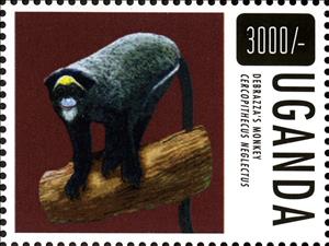 Stamp, De Brazza's Monkey (Cercopithecus neglectus), Uganda,  , Animals (Fauna), Mammals, Monkeys